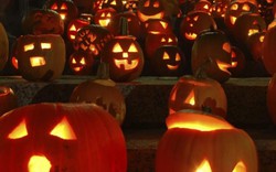 Đi chơi Halloween, hai thiếu niên Mỹ bị bắn chết