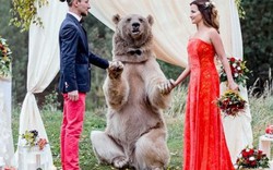 Cặp đôi làm đám cưới cùng gấu nâu nặng gần tạ rưỡi