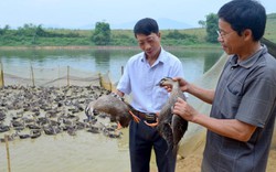 Khơi dậy ý chí làm giàu trong nông dân