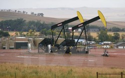 Califonia và cái giá phải trả cho khai thác dầu mỏ tràn lan