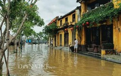 Thủy điện xả lũ, đường phố Hội An ngập nước dù mưa không lớn