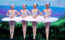 Hai vở ballet nổi tiếng thế giới đến Việt Nam vào đầu tháng 12