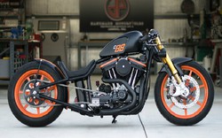 Mê mẩn xế độ 2001 Harley Davidson Sportster-DP Customs
