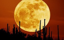 Ngày 14.11, người Việt Nam được ngắm siêu trăng lớn nhất thế kỷ