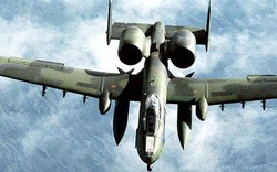 Máy bay chiến đấu Mỹ vô tình rơi bom và tên lửa khi bay