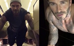 David Beckham dẫn đầu trào lưu hít đất rầm rộ mạng xã hội