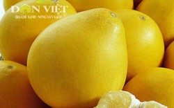 Bưởi "vàng óng, bóng mượt” trồng ở Việt Nam giá trên trăm nghìn
