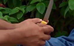 Clip: Cách thoát hiểm khi bị cướp khống chế bằng dao và kim tiêm