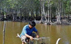 Con cua tranh đua tôm, muối...