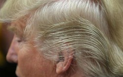 Sự thật về mái tóc kì lạ của Donald Trump