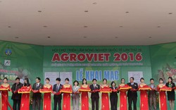 Hơn 300 đại biểu tham dự Hội nghị sử dụng phân bón và hóa chất trong khuôn khổ AgroViet 2016