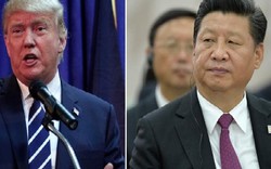 Ông Tập nói với ông Trump: Hợp tác là lựa chọn duy nhất