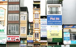 Ảnh: Nhà siêu nhỏ trên "đường cong mềm mại" ở Hà Nội