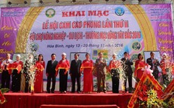 Phân bón Phú Mỹ đồng hành cùng vùng Cam Cao Phong