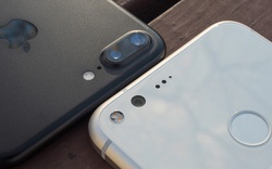 Camera của Google Pixel XL đọ tài cùng iPhone 7 Plus