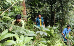 Chi trả dịch vụ môi trường rừng: Tiền đến tay chủ rừng còn chậm