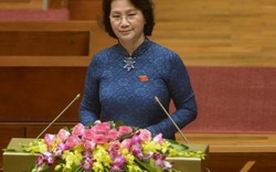 Quốc hội phê phán nghiêm khắc ông Vũ Huy Hoàng trước cử tri cả nước