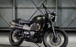 Cận cảnh Triumph Street Scrambler 2017 mới ra mắt