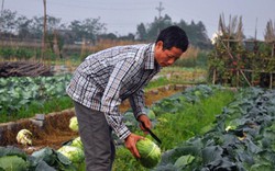 Tiên Du tập trung “chạy nước rút”