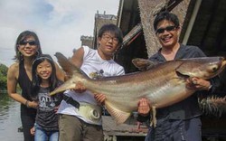 Trải nghiệm câu cá "khủng" ở Thái Lan