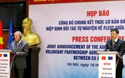 Gỗ Việt sắp có “giấy thông hành” tiến thẳng vào EU