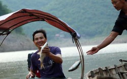 Vượt thác ghềnh mặc hiểm nguy để thu mua cá trên dòng Nậm Nơn