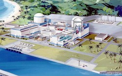 Chiều nay, Chính phủ họp báo về dự án NM điện hạt nhân Ninh Thuận