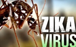 2 chị em ruột cùng nhiễm virus Zika