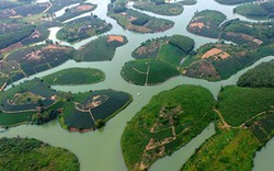 Đồi chè "vạn đảo" đẹp nhất Việt Nam trông thế nào?