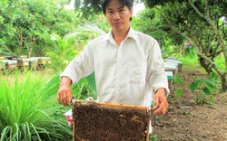 Người nuôi ong miền Tây “thoải mái” di dời đàn
