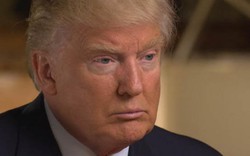 Chuyên gia cảnh báo Donald Trump có 'nguy cơ đột quỵ' trong Nhà Trắng