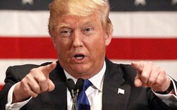 Đảng Xanh gây quỹ kiểm phiếu lật ngược thế thắng của Donald Trump?