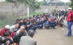 Cảnh sát đột kích sới gà "khủng" ở Nghệ An, bắt 54 người