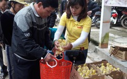 Báo NTNN/ Dân Việt: Hỗ trợ con giống cho bà con vùng rốn lũ