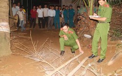 Kinh hoàng hàng loạt vụ người tâm thần sát hại người thân