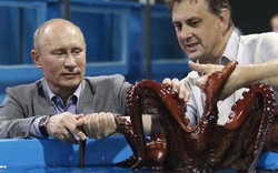 Thực hư về "những con bạch tuộc sát thủ" của Putin