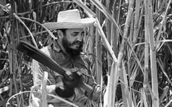 Kỷ niệm chặt mía cùng lãnh tụ Fidel Castro