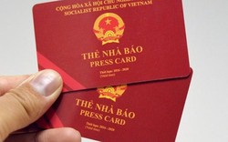 Phó Tổng biên tập và Tổng TKTS báo Thanh Niên bị thu hồi thẻ nhà báo