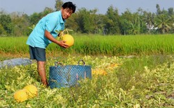 Thành công nhờ phát huy sức dân