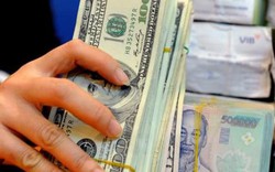Quảng Ninh: Nữ cán bộ ngân hàng "ôm" hàng trăm tỷ đồng bỏ trốn?