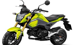 Honda MSX 125 lên kệ, giá 57 triệu đồng