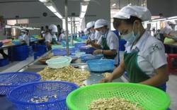 Khi người lao động lên tiếng “không làm thêm thì cạp đất mà ăn”