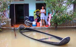 Bình Định: Hồ chứa “quá tải”, lũ dự báo lại lên cao nữa