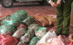 Gần 1/3 số người mắc ung thư ở Việt Nam do thực phẩm bẩn