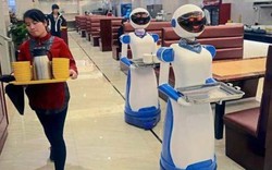 "Robot không đình công", hàng triệu lao động có nguy cơ mất việc?