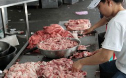 Triển khai truy xuất nguồn gốc thịt lợn: Thương lái “vắng mặt”, tiểu thương sợ phiền hà
