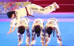 20 năm Taekwondo Việt Nam: Hành trình mang đậm khí phách Việt Nam