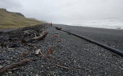 Vật thể bí ẩn màu đen dài 100m dạt bờ biển New Zealand