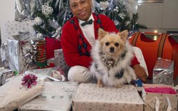 Anh: Chi 135 triệu đồng mua quà Giáng sinh cho chó