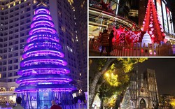 Ngắm những cây thông Noel “khổng lồ” tại Hà Nội